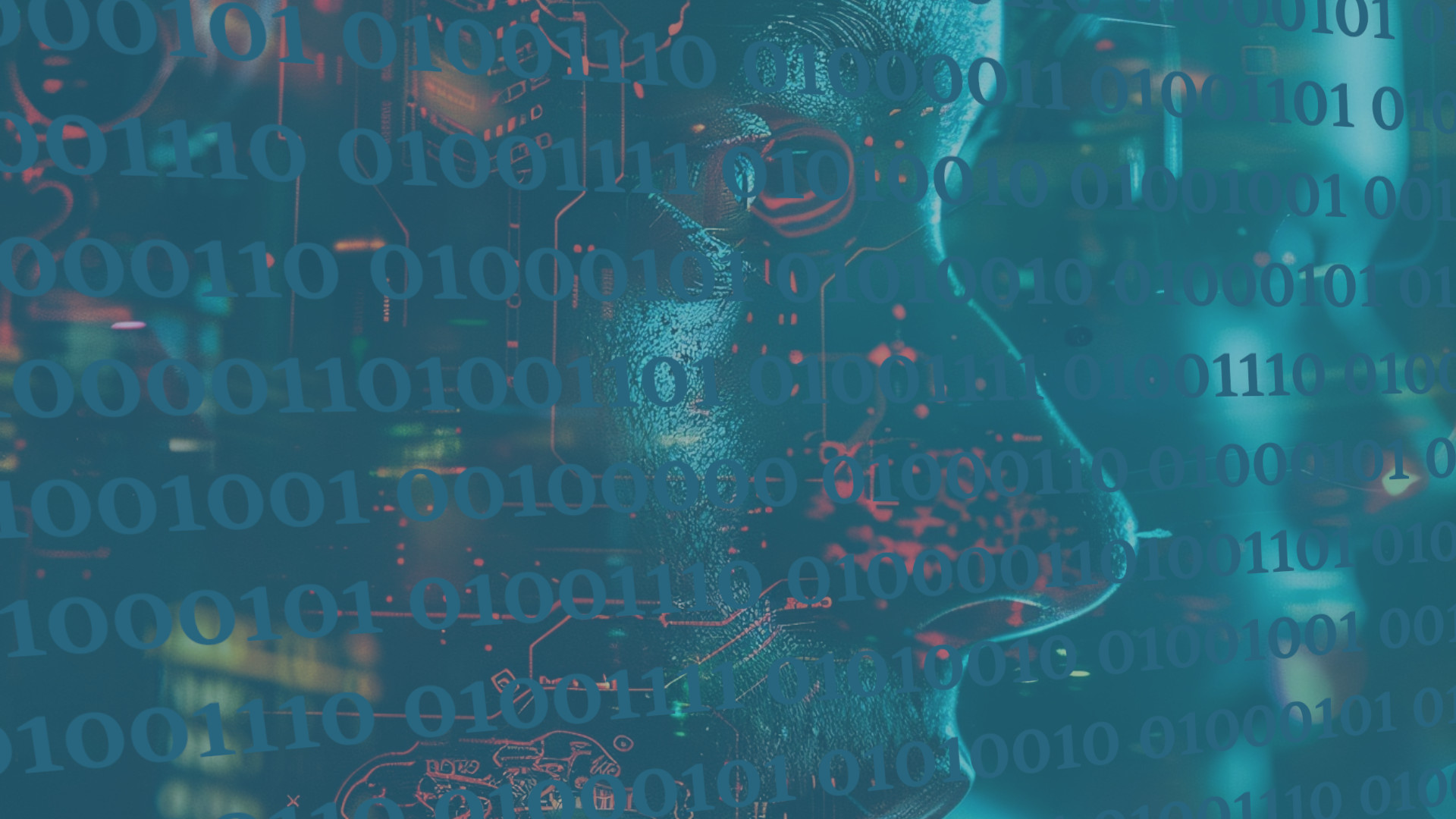 A kép nem elérhető